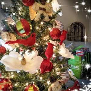 Meet your Posher, Corliss